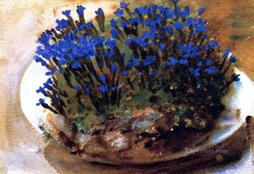  azul Lienzo - Gencianas azules John Singer Sargent Impresionismo Flores